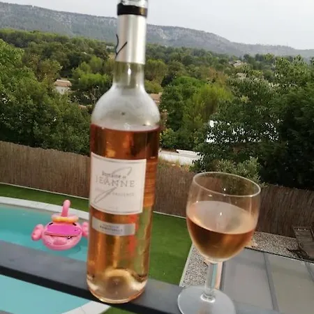 Holiday home Sublime Terrasse Piscine Privee Jardin