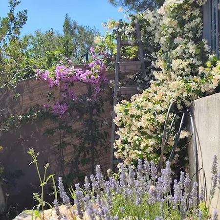 Sublime Terrasse Piscine Privee Jardin Holiday home Aubagne
